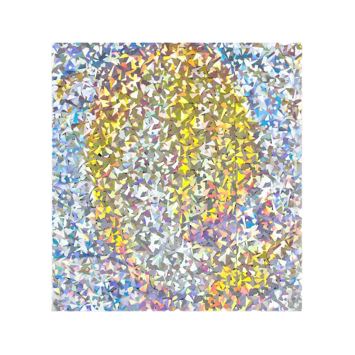 Holographic Finish Foil Bags