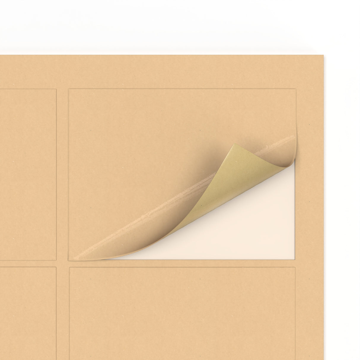 Rectangle Adhesive Labels