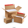 Variable-depth cardboard box with self-sealing closure for shippings